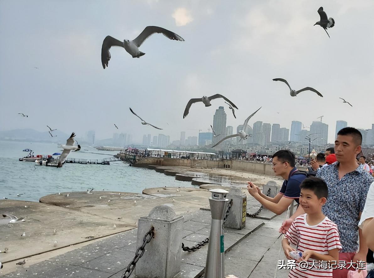 大连有什么玩水的地方吗,夏天大连海水浴场哪里好玩