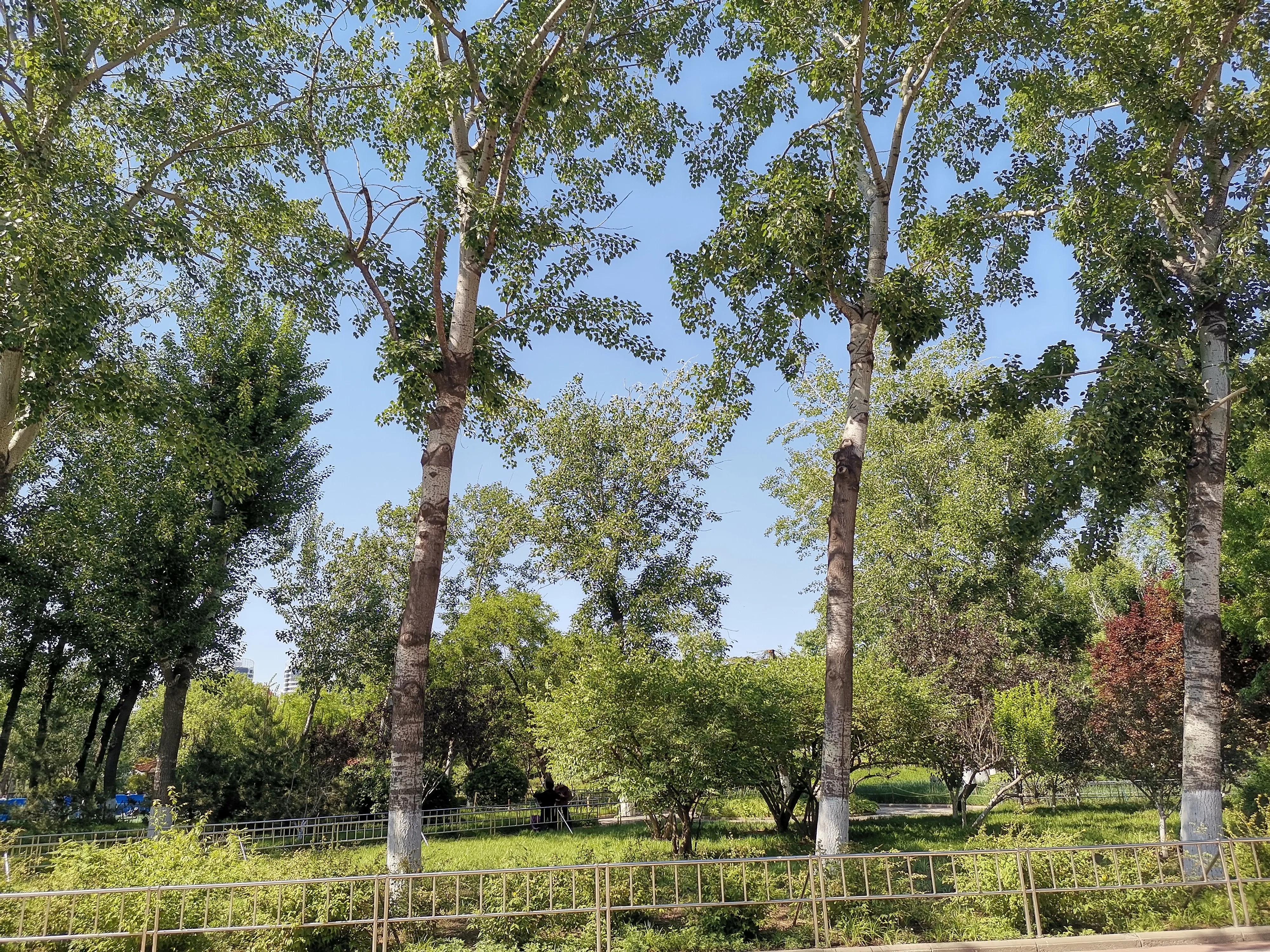 王串场公园有什么,王串场公园地图