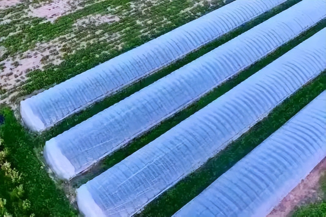 乡村振兴引人才回乡,全州县乡村振兴吸引人才到一线