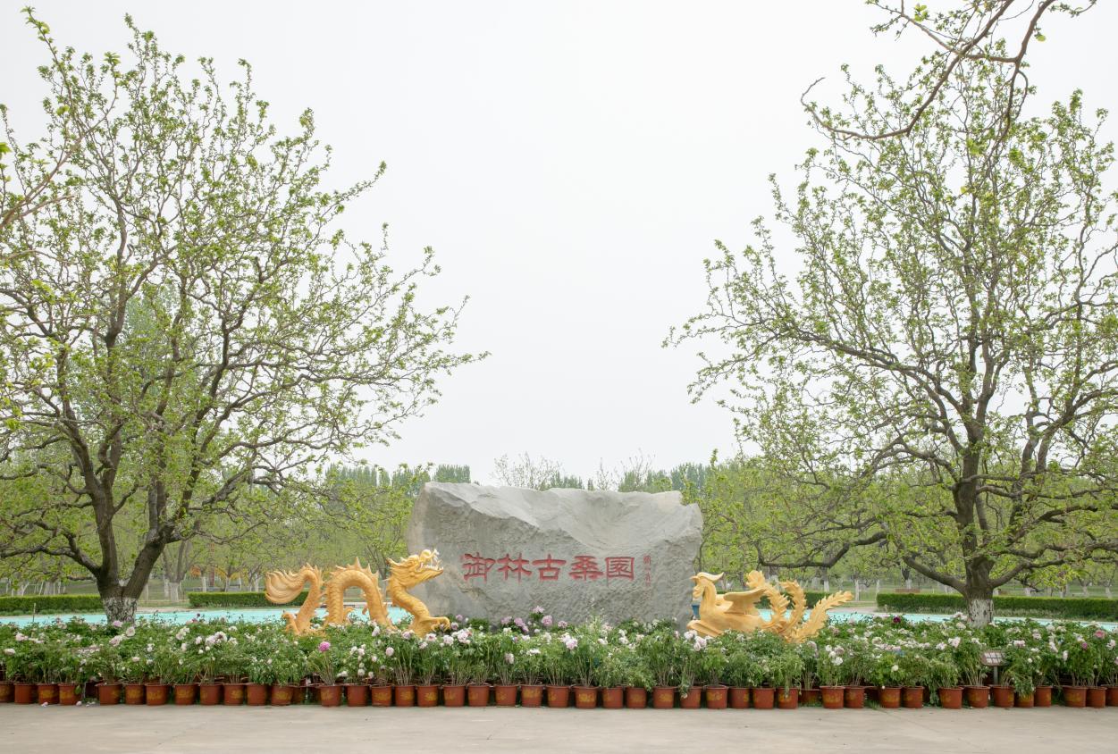 十一北京大兴周边旅游景点推荐,北京大兴黄村旅游攻略