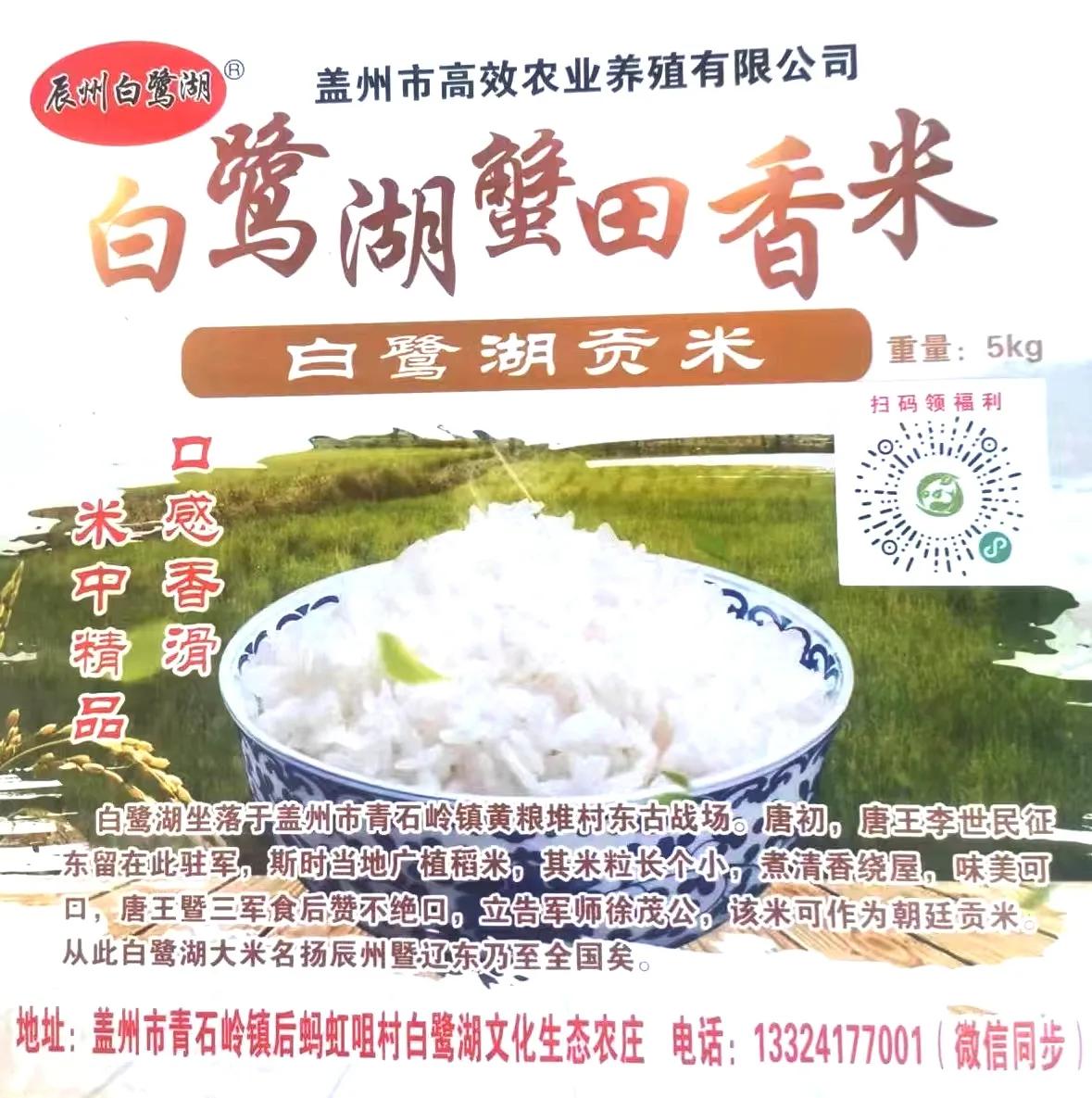 沈阳7中篮球队排名,辽宁男篮沈阳七中