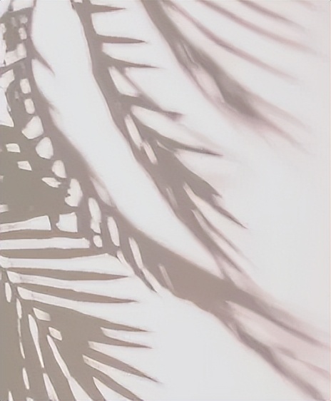 国货精华大概费用多少,国货超便宜精华