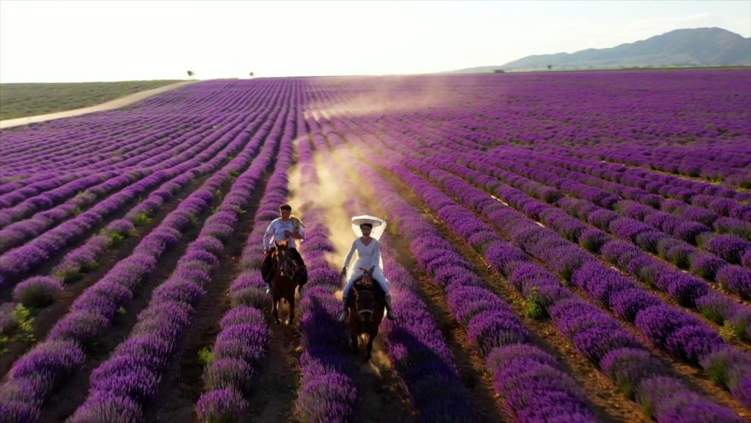 她中专学历，却成副县长，靠视频走红，直播3小时赚200万，凭啥