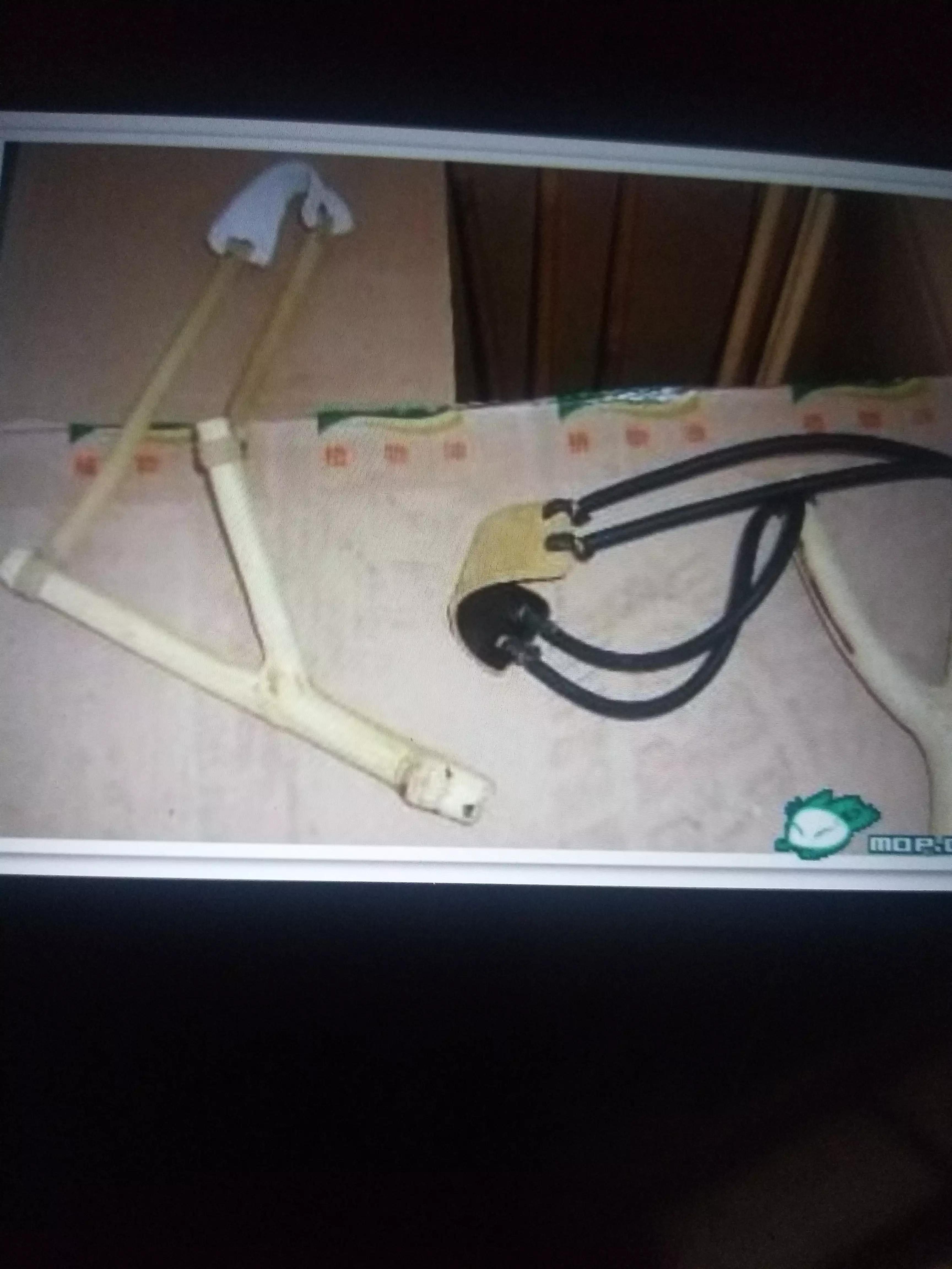 广西人的童年野果,广西人的童年有多快乐