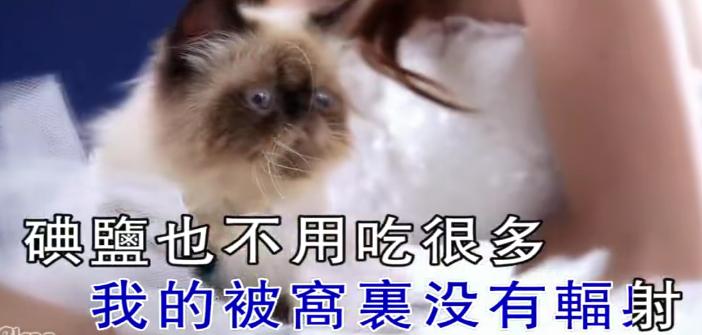 歌词毫无逻辑的歌,歌词不符合实际的歌