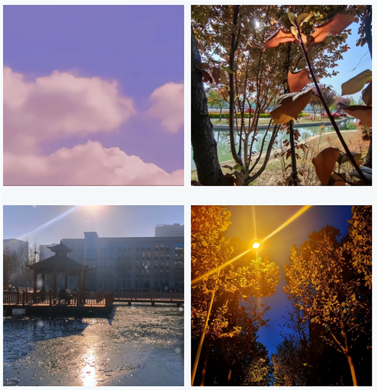 娌冲崡缁忚锤鑱屼笟瀛﹂櫌2023鎷涙敹浜烘暟,娌冲崡缁忚锤鑱屼笟瀛﹂櫌鍗曟嫑2023棰勬祴