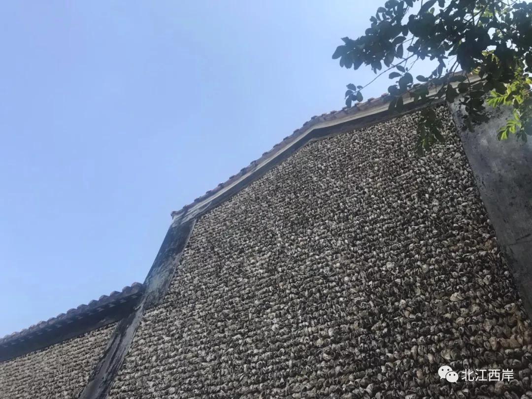 沙湾何，唔忧冇老婆