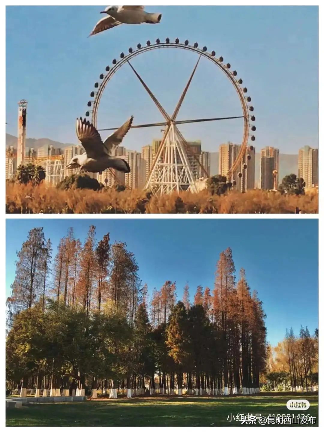 你的手机都藏哪里,你的手机藏着秘密