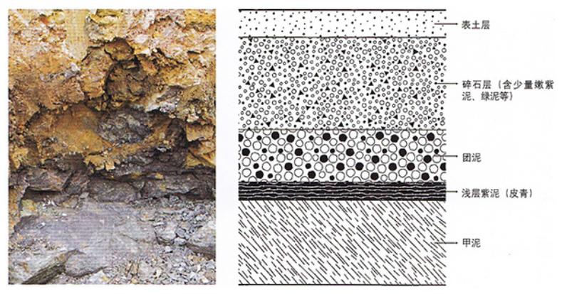 顶级本山绿泥怎样鉴别,现在的本山绿泥是真的吗