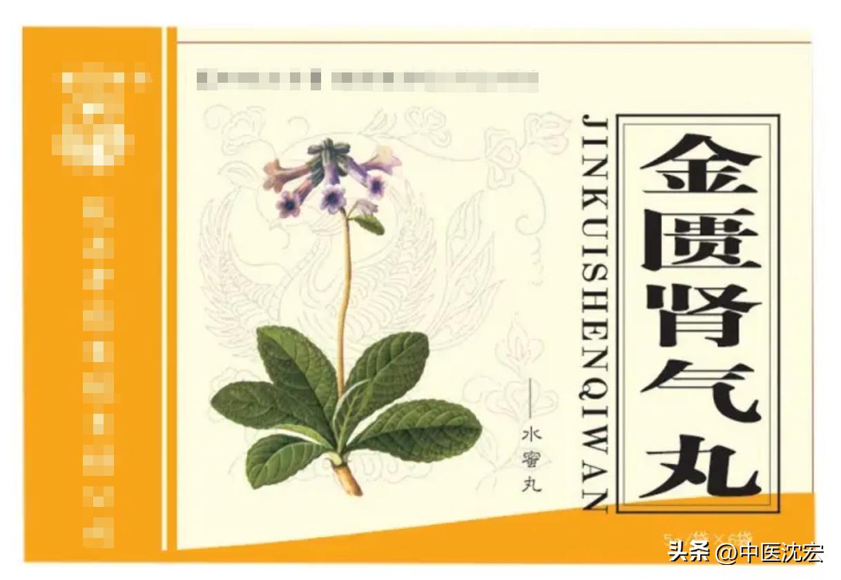 补肾壮阳补阳虚的药,最补肾阳虚的十大食物