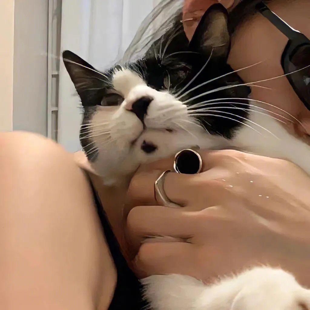 好看的情侣头像单个,好看的情侣头像大全超清