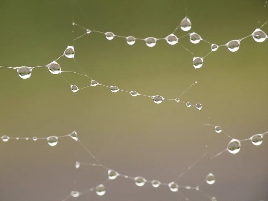 体制内的年度工作总结,我体制内工作20年感言