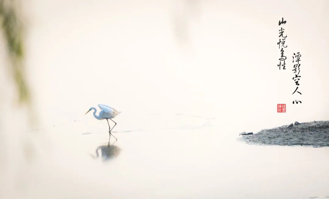 宋词三百首的诗句,宋词三百首经典词