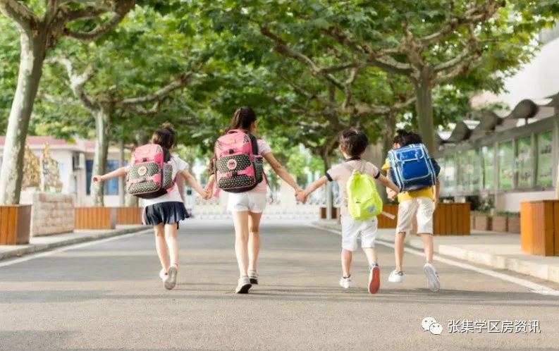 张江集团中学近两年表现,张江集团中学