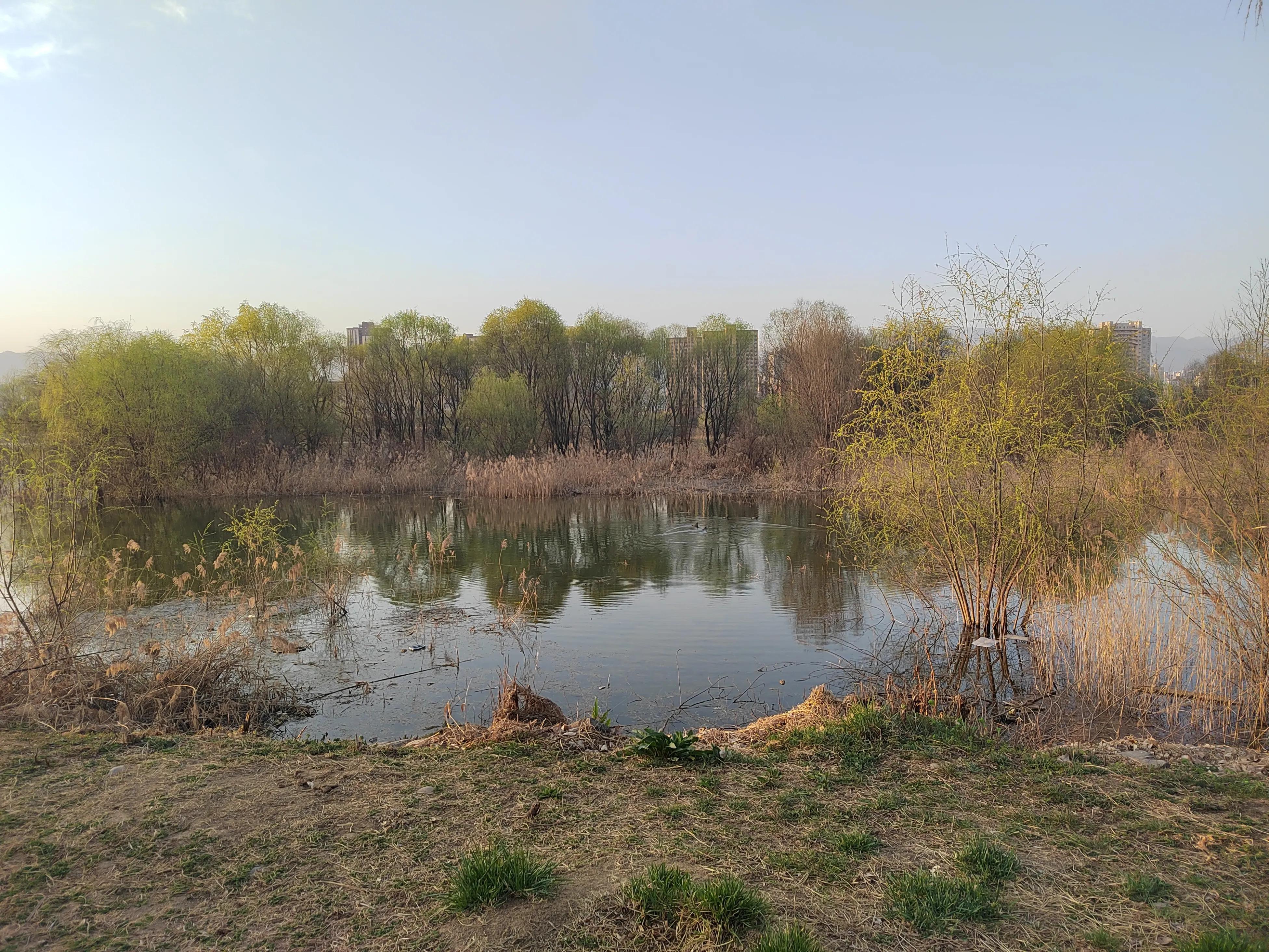 春天来了，美景再现，该踏青和锻炼身体了，为足球比赛储备体力。