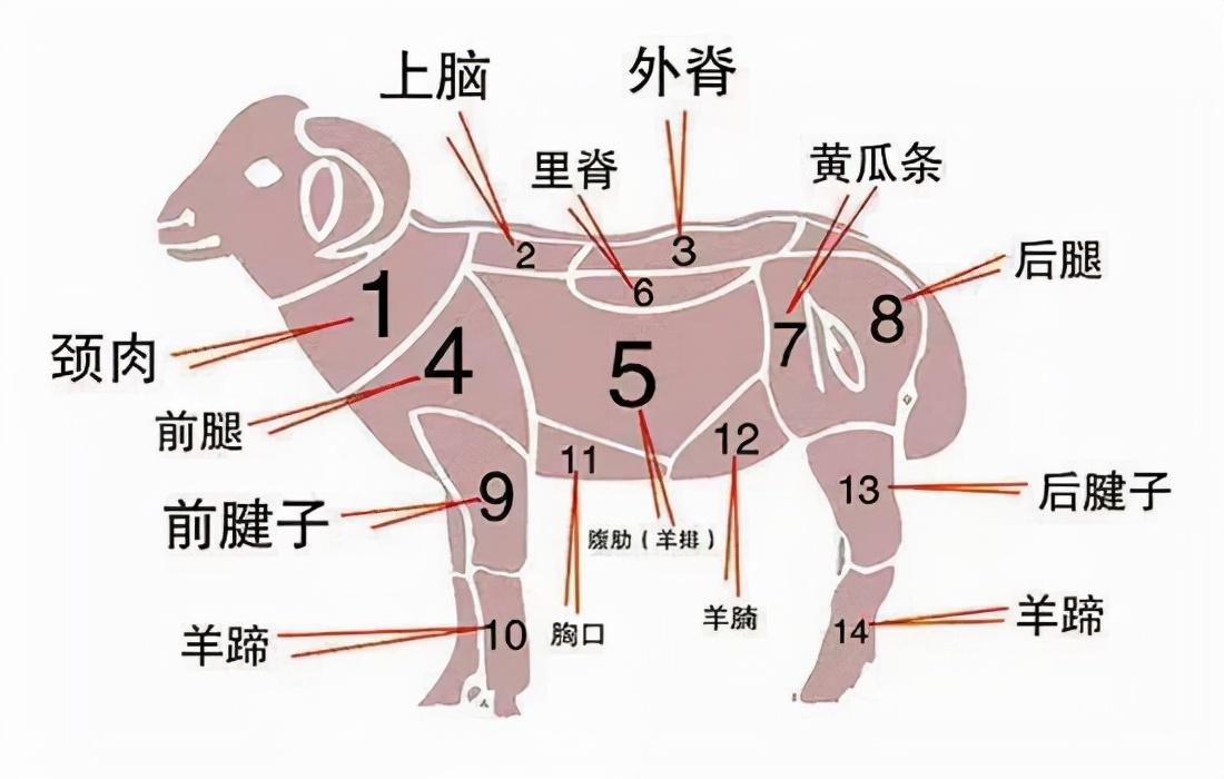 羊肉十大必买部位,买猪肉时聪明人专挑这4个部位