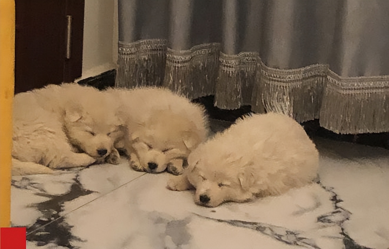 跟一线城市说拜拜后，她们后悔了吗？