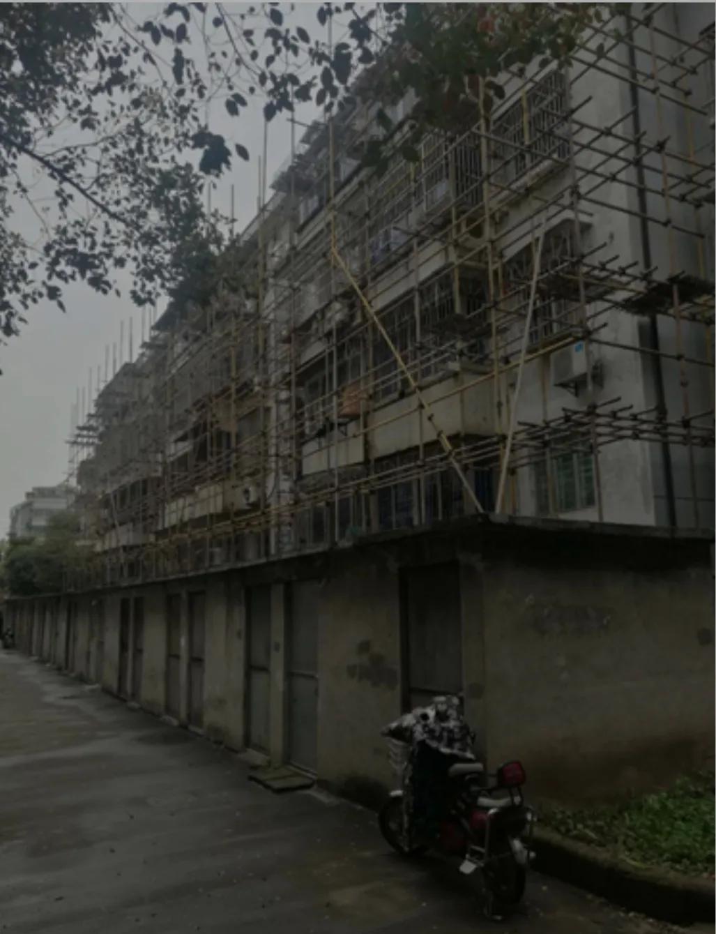 狼窝虎穴怎么打,进虎穴与探狼窝