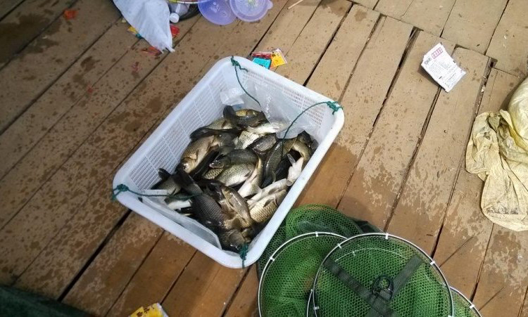 阴天窝里有鱼不开口还起伏怎么办,窝里有鱼不咬钩怎么回事呢