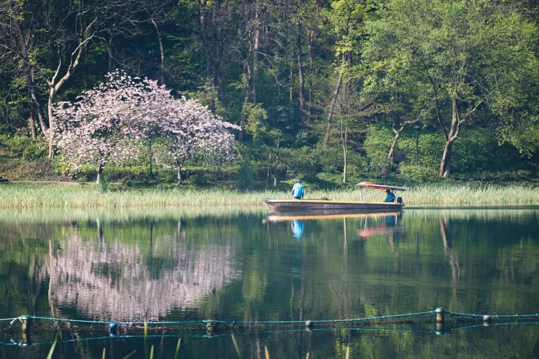 火热的周边游喂饱了本地生活,划算的周边游