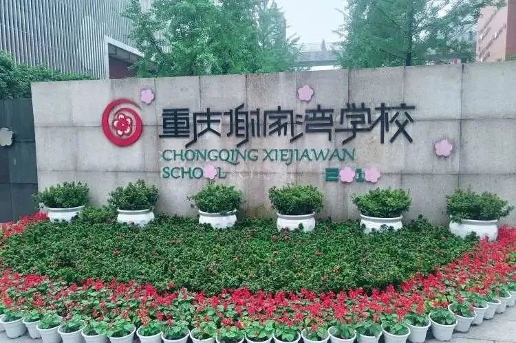 邯郸市曙光小学教育集团赴重庆考察学习！