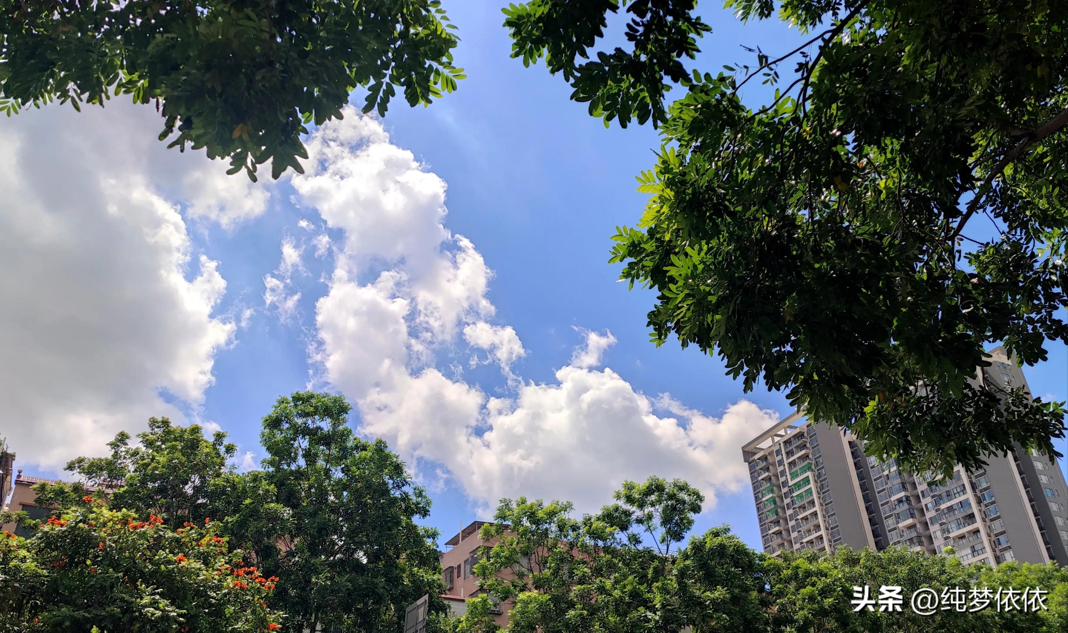 夏天随手一拍就是最好的画面,这张照片勾起了夏天的美好时光