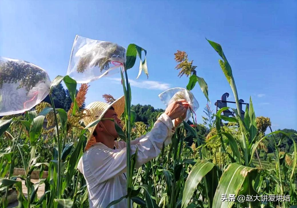 中国七大良心酒便宜又好喝,5大良心酒