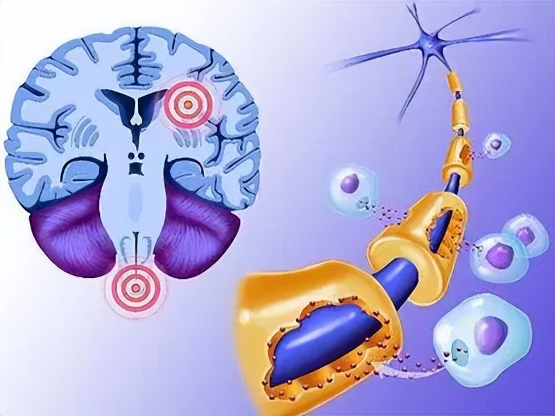 常觉得手脚麻,经常手脚麻吃啥药