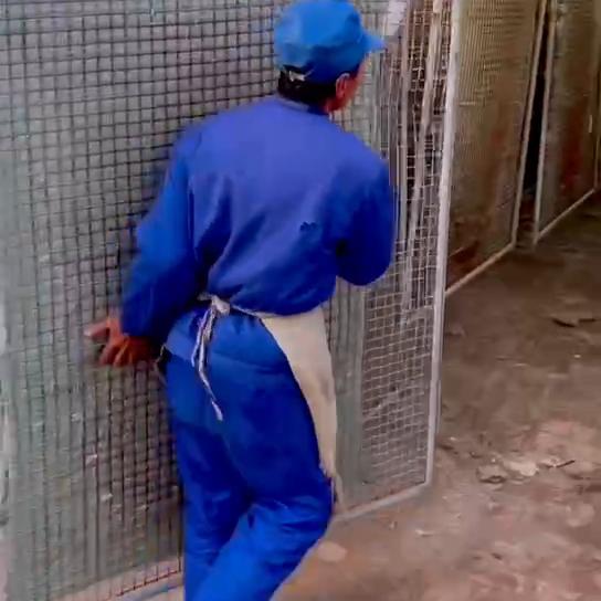 羊毛被怎么清洗,羊毛被子批发厂家直销