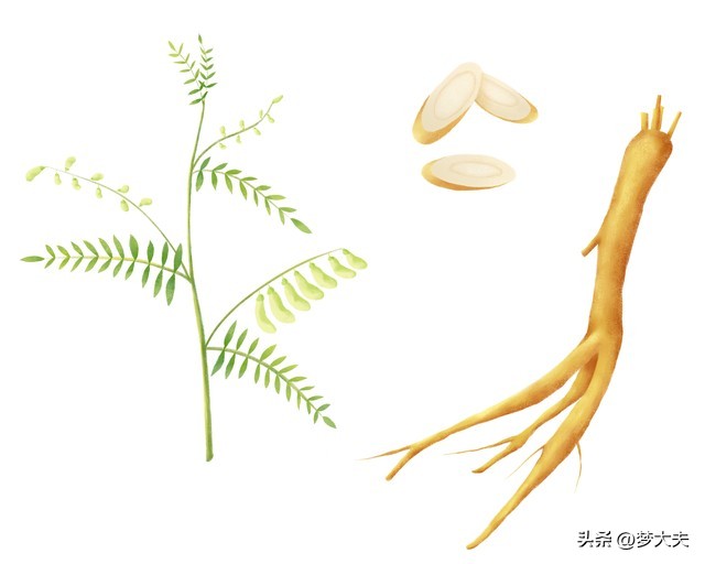 全国道地药材有哪些,各省份道地名优中药材名录