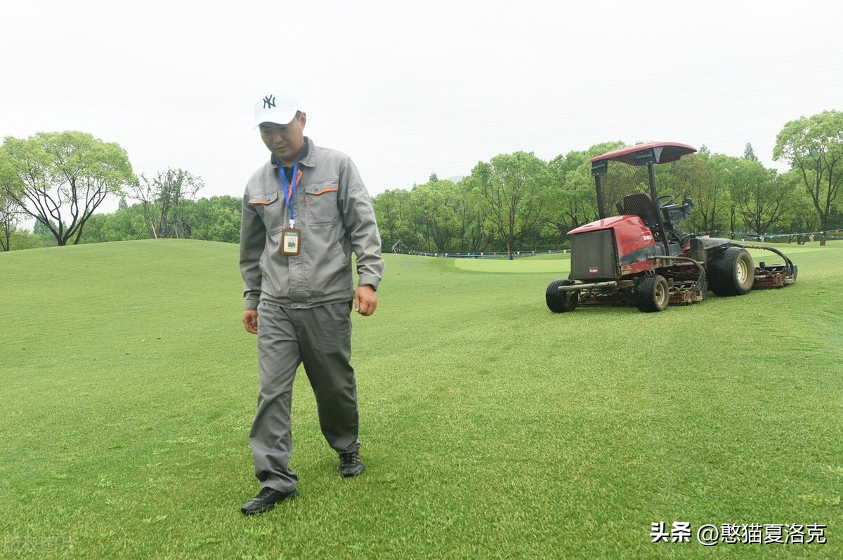 世界杯草坪是选用哪里的,欧洲杯足球场草坪怎么种出来的
