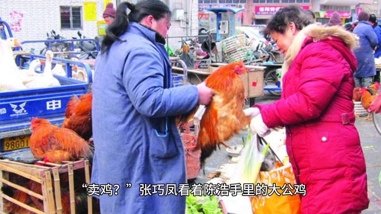 小小说金麻雀奖作品,小小说案件