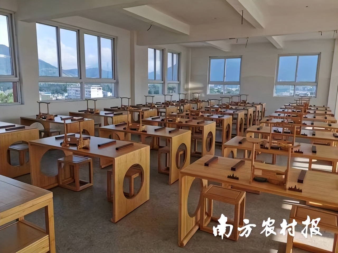 从竹笋到竹子的过程有趣极了,蕉岭毛竹