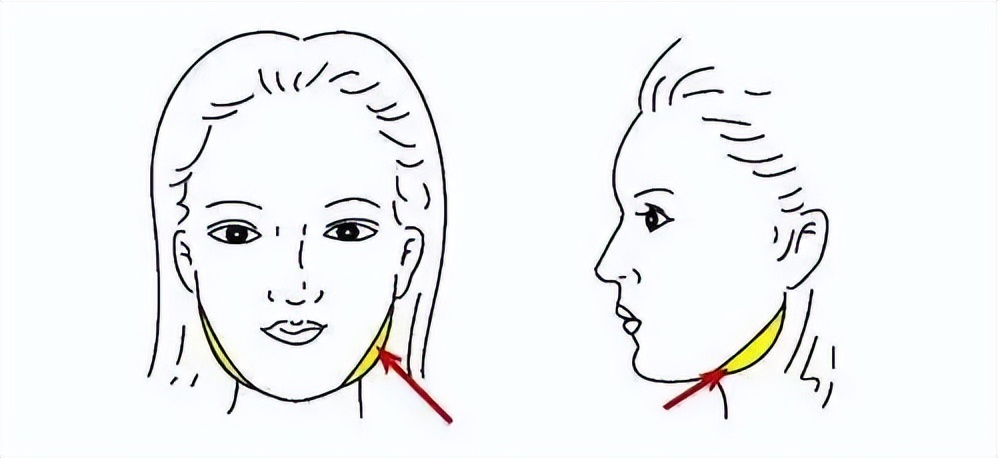 脸又大又方怎么办,脸又大又胖怎样改善