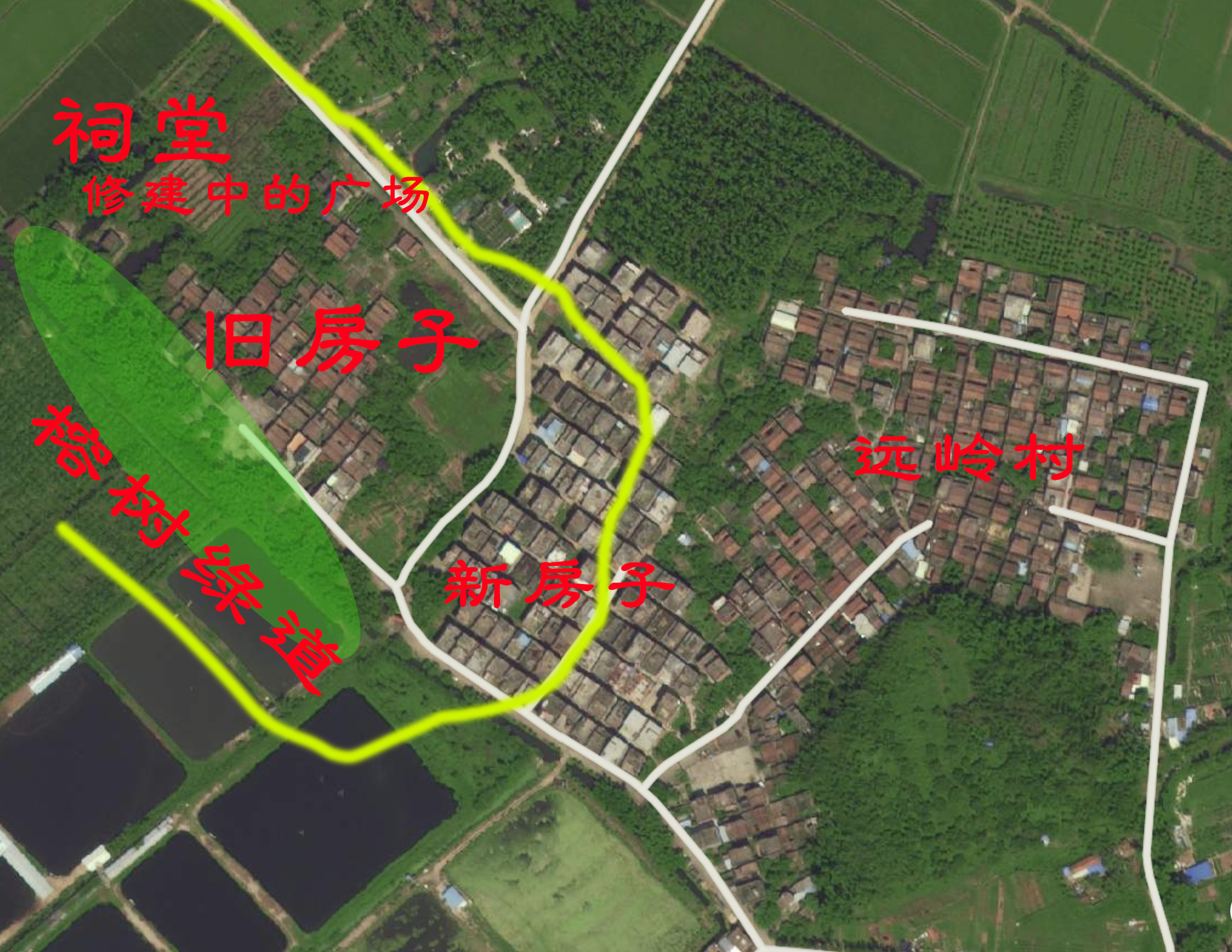 江门新会旅游景点小鸟的天堂,新会小鸟天堂历史记录