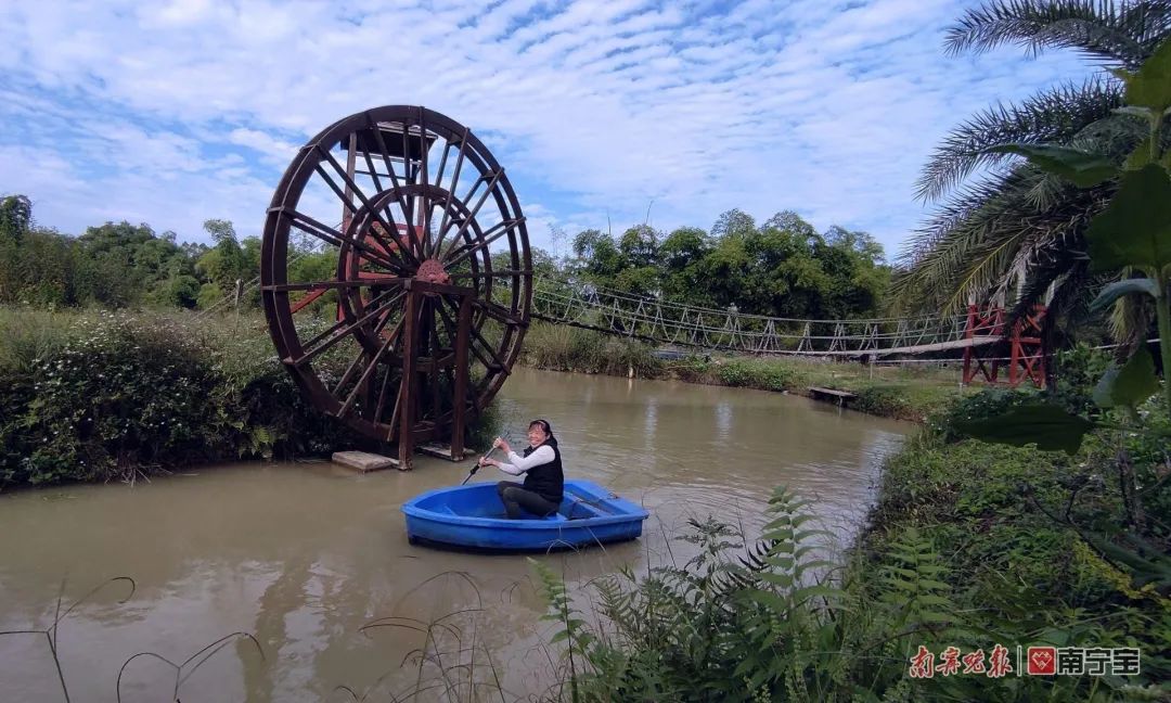 江南区沙井街道金鸡村：蔬菜种植脱贫致富的“绿色银行”
