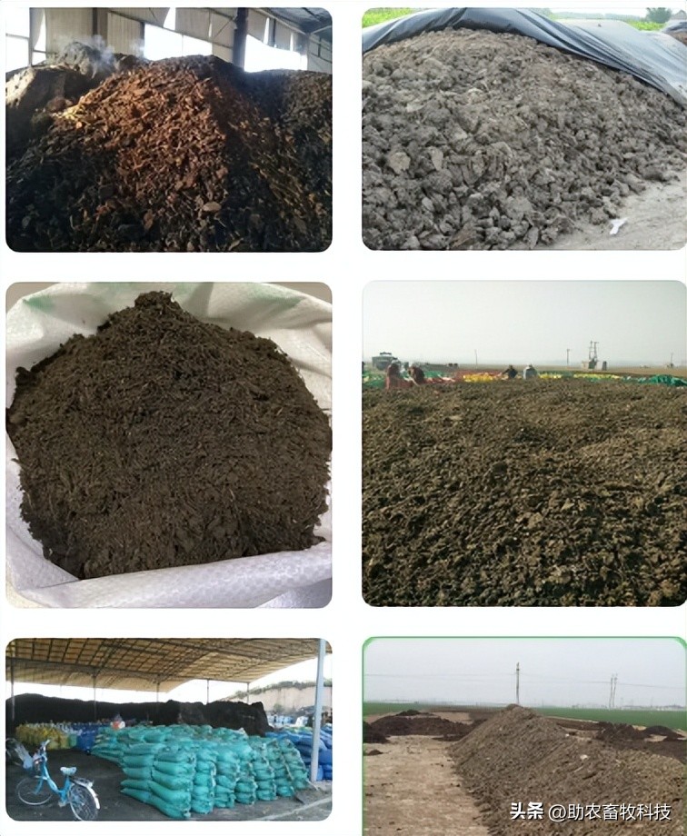 复合肥鸡粪肥,粪制肥料