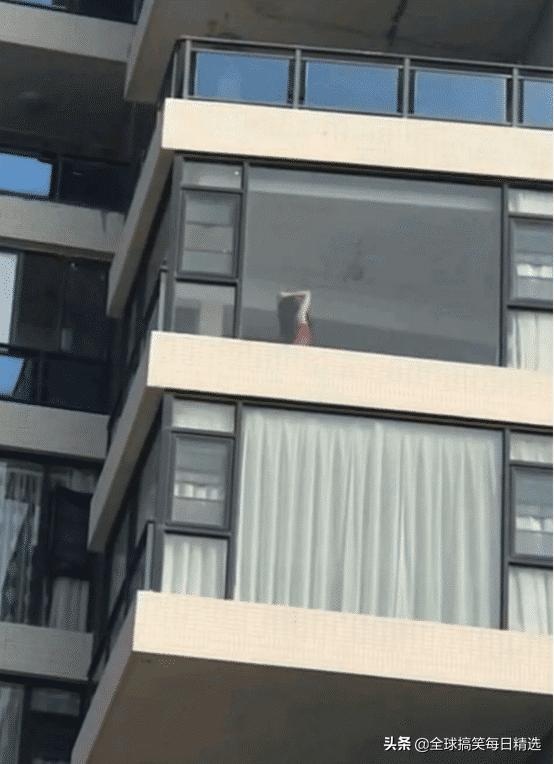 你的岗位还招人吗神回复,问做什么工作怎么神回复