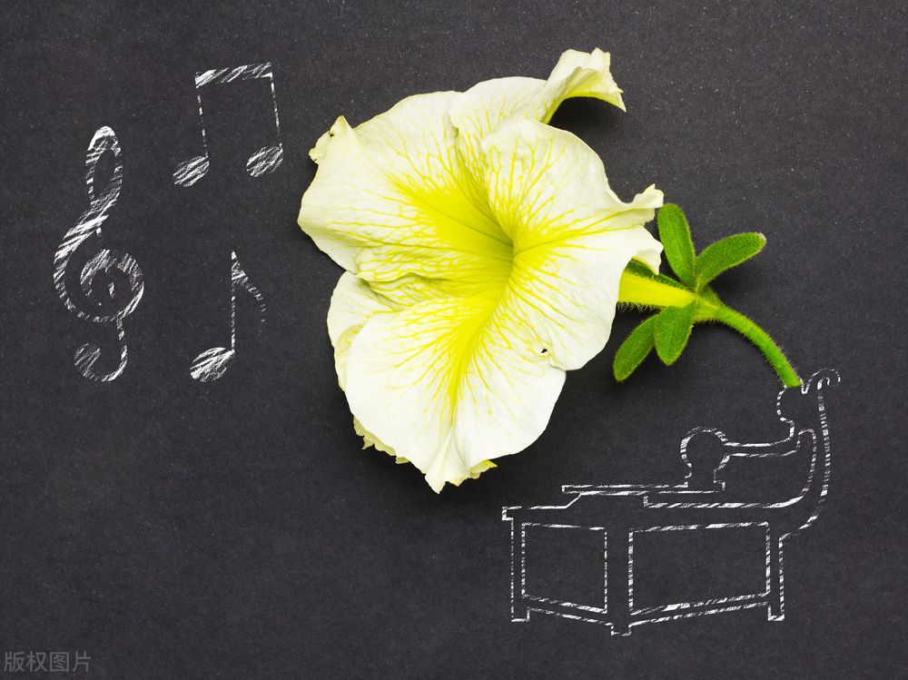 倾听流水的声音,倾听自然的声音