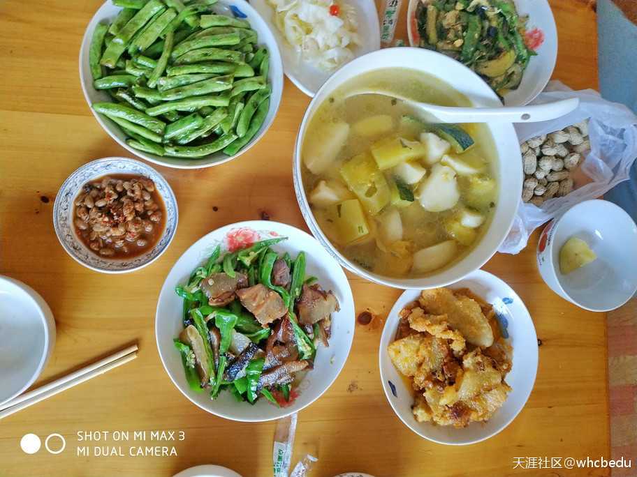 廿万公里42章再上青岗坪,重吃特供菜,湖北避暑大比拼