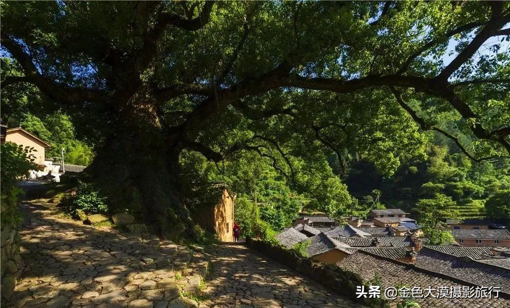 古堰瓯江帆影,古堰画乡赏瓯江帆影攻略