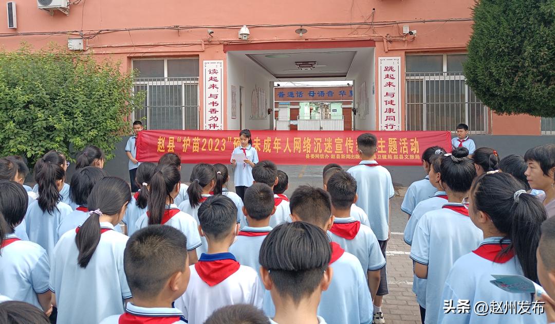 鎶よ嫍琛屽姩鏈垚骞翠汉缃戠粶淇濇姢,鎶よ嫍琛屽姩棰勯槻缃戠粶娌夎糠