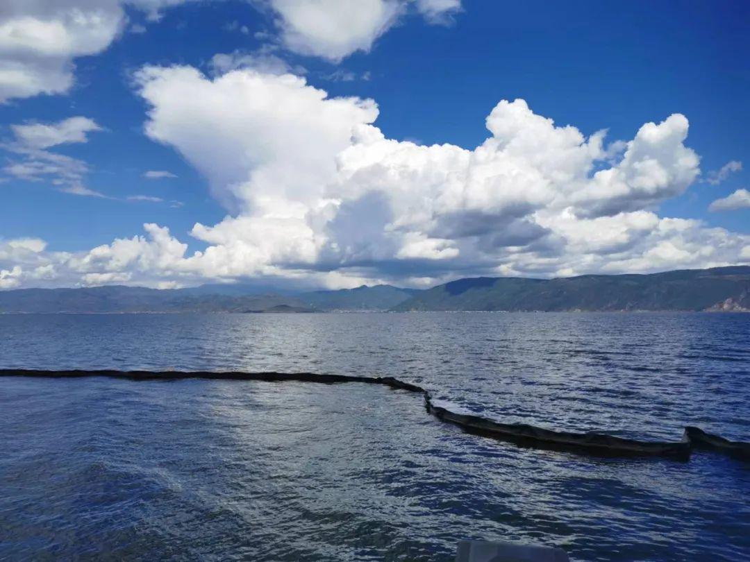 揭露演艺圈潜规则,演艺圈劲爆八卦消息