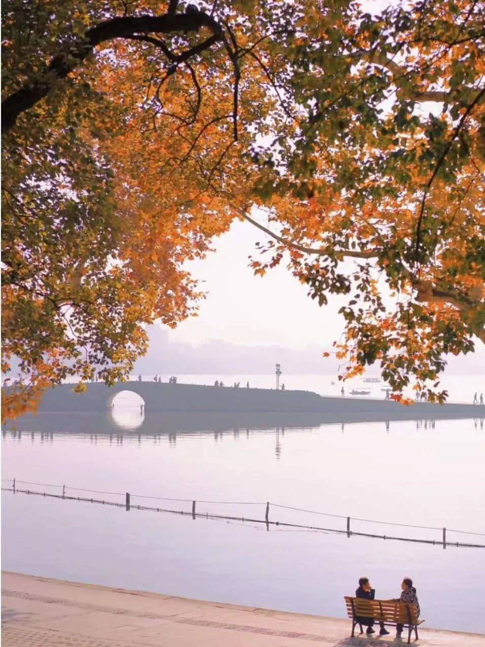杭州秋日游攻略,杭州秋色上线这些赏秋地风景极佳
