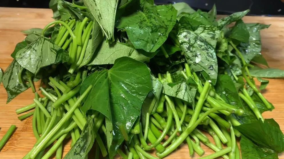 什么食物可以增强免疫力抗病毒 (抗病毒中吃什么食物增加免疫力)