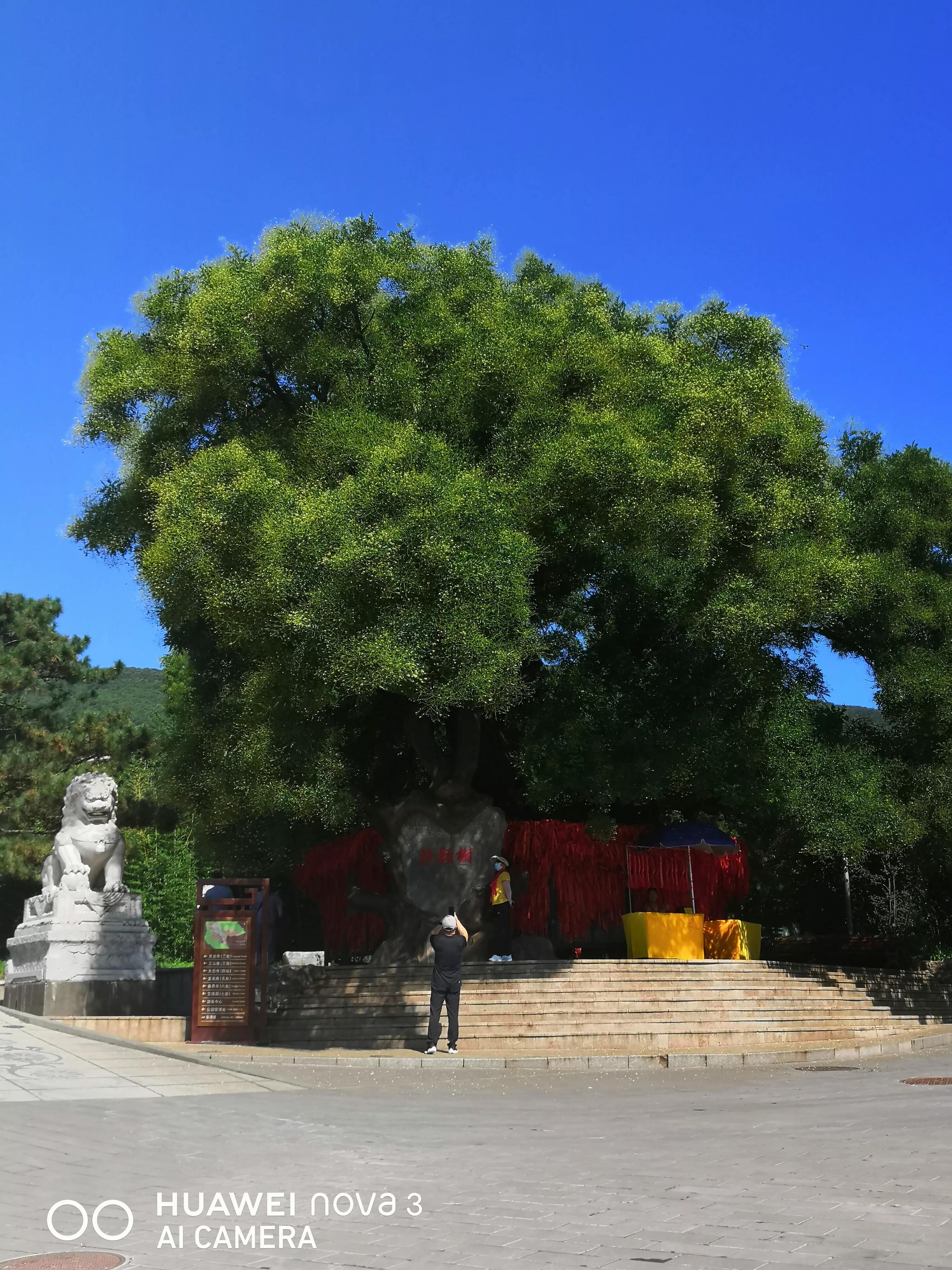 为何叫八大处,八大处从何而来