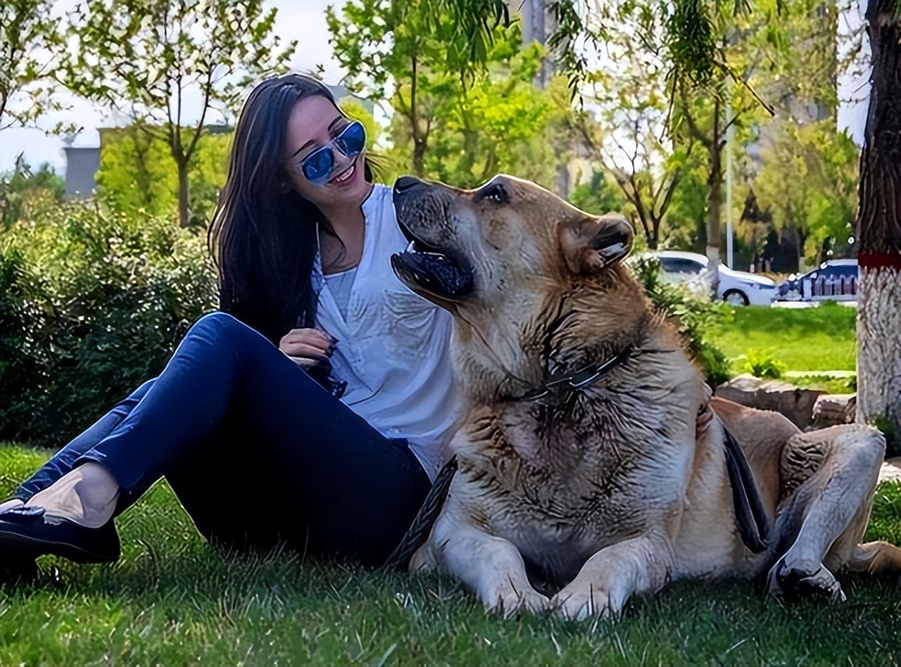 为什么很多人不喜欢养母狗,很多人喜欢养公狗还是母狗