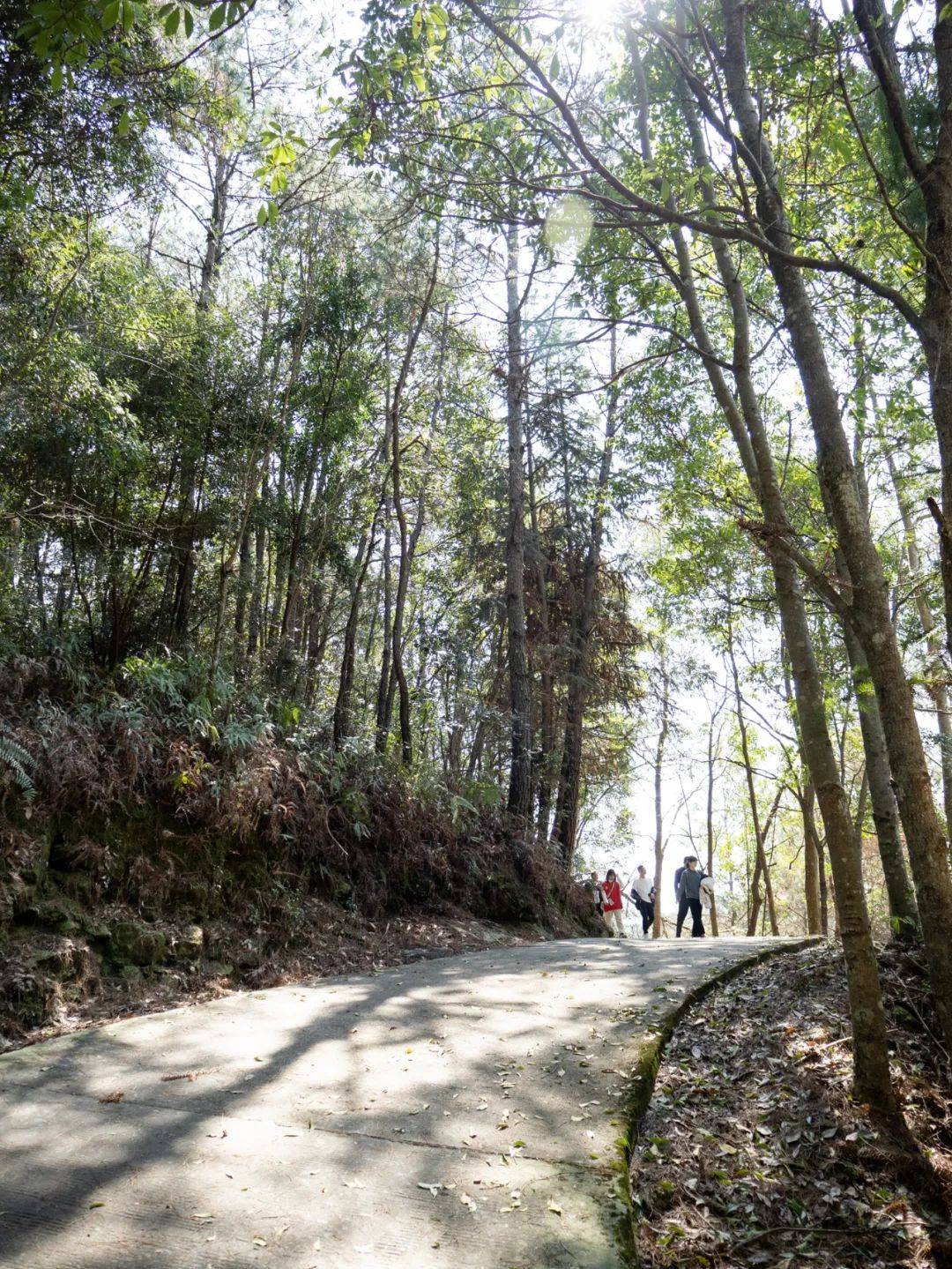 永泰白云姬岩,永泰姬岩云海