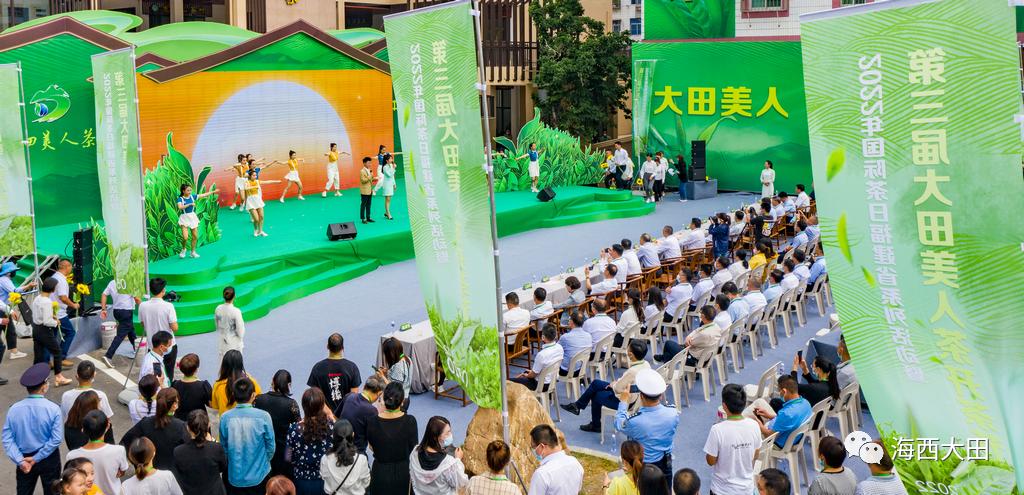 上海浦东大田美人茶迎来开茶季,海峡两岸美人茶大会福建大田举行
