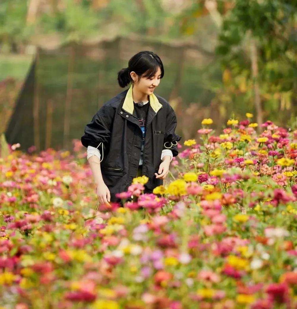 张子枫头像ins高级质感,张子枫微博头像好奇怪